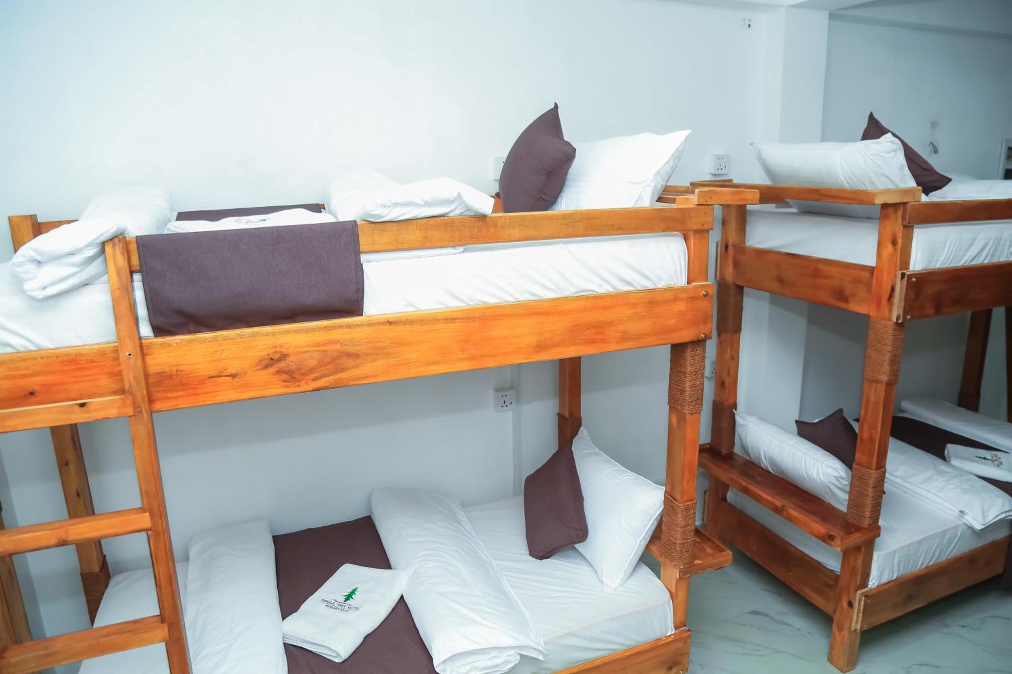 The Mount View Single Tree Hotel Νουβάρα Ελίγια Εξωτερικό φωτογραφία